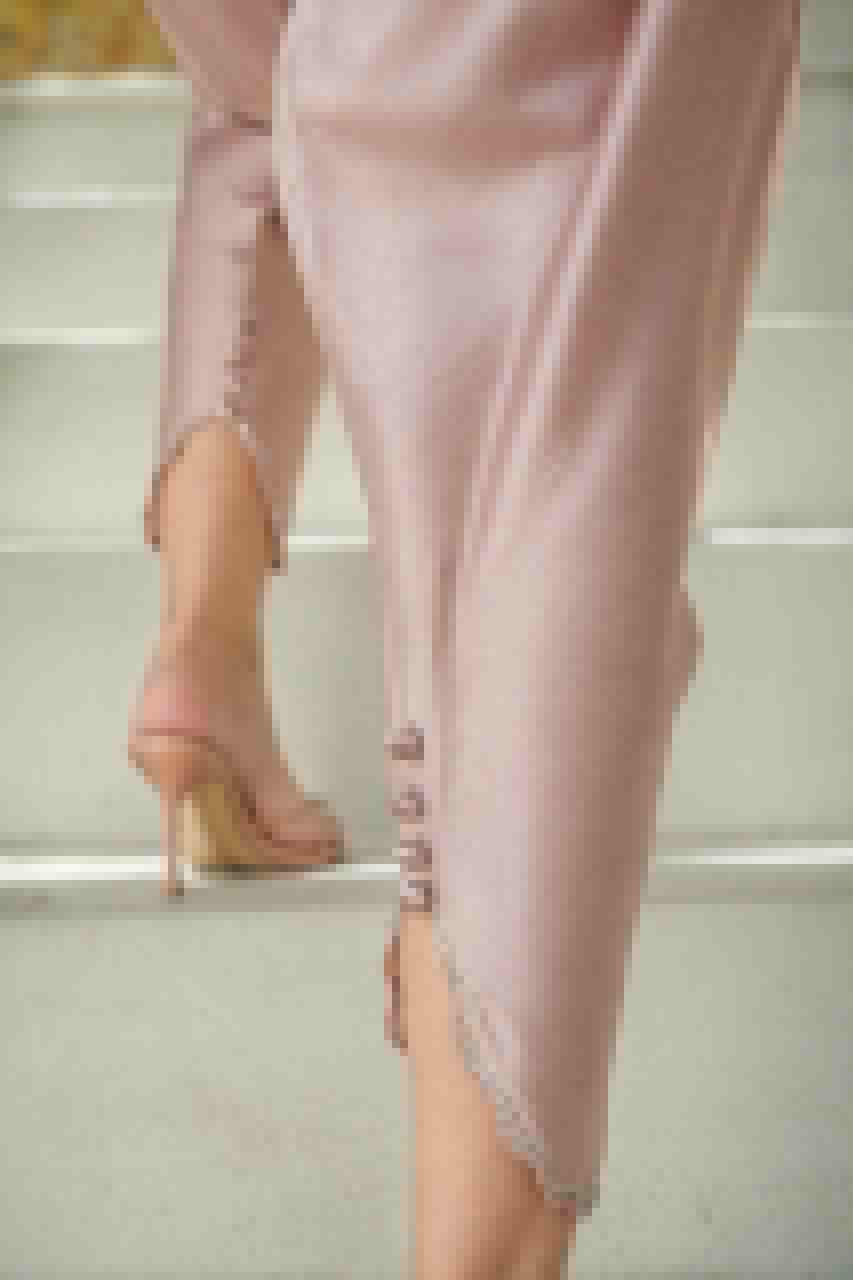 Rosy Tulip